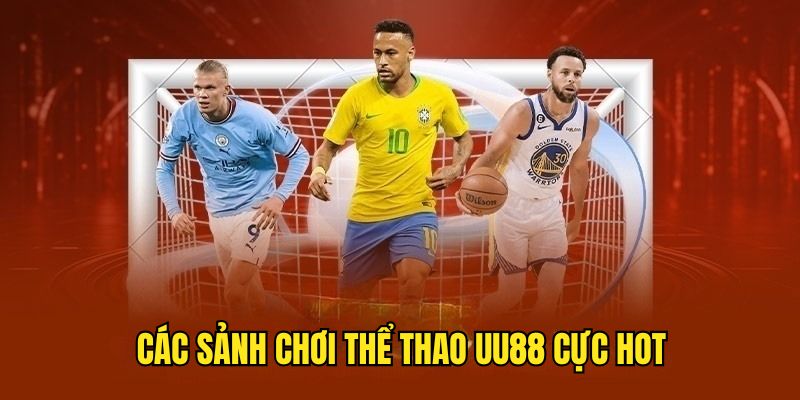 Những sảnh chơi thể thao uy tín